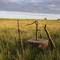 Old Well June 28, 2008