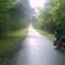 Van Fleet Trail