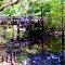 Bridge at the Withlacoochee River. Green Swamp East Tract