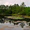 Nice pond in suburban industrial park