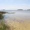 Hagen's Cove
