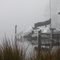 Fog on Tom's Bayou