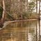 Fred Gannon Rocky Bayou State Park - Niceville, Florida - View A
