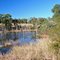Niceville, Florida Scenery