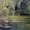 Turkey Creek Boardwalk - View C