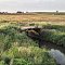 Honey Creek Field Bridge
