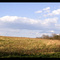 A Farmer's Field