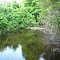 A trail ends with River Raisin in Onsted State Game Area
