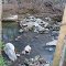 Donahue's Mill Dam Close up