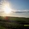 SOWN FIELD AT IOWA,USA