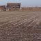 old barn