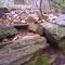 Chimney Foundation