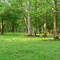 Our Front Yard