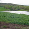 Rural lake east side of Black Jack Mountain