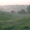 Grazing at Sunrise