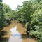 Century Road Kinchafoonee Creek View