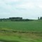Field near Idlewild Road