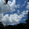 sky (summer 2006)