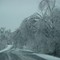 Ice Storm