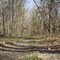Endless Trail