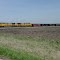 UP 5988 & 5561