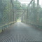 old iron bridge, White River