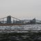 American Coal...Saline Co. Illinois......(1622394350)
