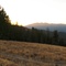 Top of Grouse Creek at Corals