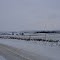 Lott Road- Winter