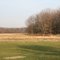 Cook County-Busse woods Forest Preserve