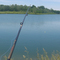 Fairfield Lakes Fishing