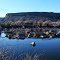 Niagara Springs Wildlife Management Area