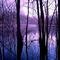 Morning at the Pond - IR