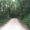Trail