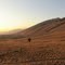 Pahsimeroi Valley sunset