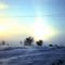 Sundog