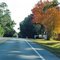 2010 High Springs, FL, USA - along SR 27