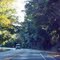 2010 High Springs-Alachua, FL, USA - along SR 27