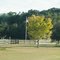 2010 High Springs-Alachua, FL, USA - along SR 27
