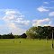 North Florida Farmland