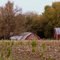Old Farm in Iowa