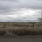Mountain Home Idaho Sewage Ponds