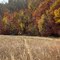 Marais des Cygnes Wildlife Area, Pleasanton, KS