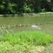 Long Run Park Lake