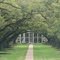 Oak Alley, New Orleans