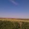 Near Oreana
