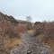Browns Creek