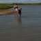 Rollover bayou in the pass