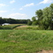 Site of the Walter & Gertie Jones farmstead (center of picture), c. 1900, looking north from the road, August 2009