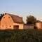 New Baden Farm in the Early Morning Light